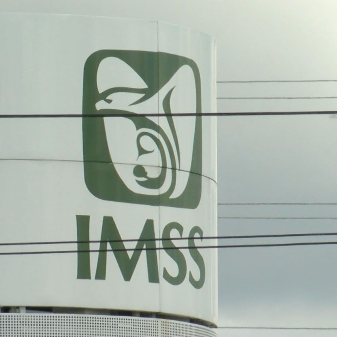 IMSS Detectó Irregularidades y Denunció Presunto Fraude por Pensión de Viudez